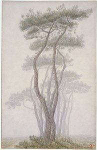 Loguivy, Trees by Henri Rivière