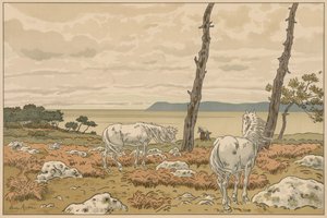 Aspects of Nature: The Bay