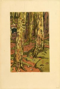 Washing Place in the Woods at Loguivy