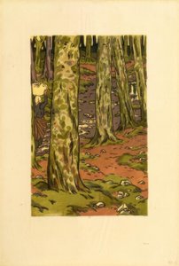 Washing Place in the Woods at Loguivy