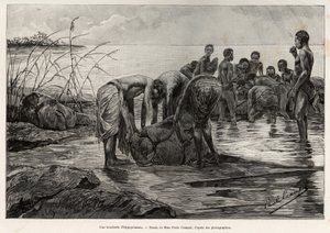 A hippo butcher shop on the banks of a Central African river. Engraving by Henri Thiriat to illustrate the story 