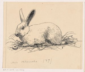 Rabbit by Henri Verstijnen (signed by artist)