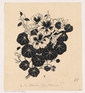 Nasturtium