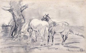 Horses