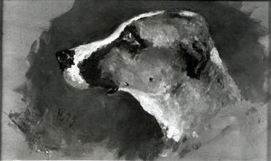 Head of a Dog with Short Ears by Henri de Toulouse Lautrec