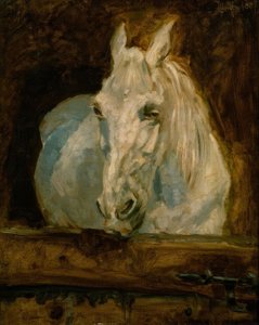 The White Horse Gazelle