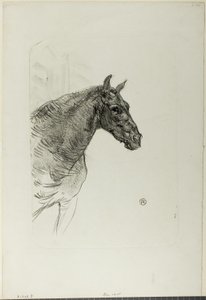 Philibert the Pony
