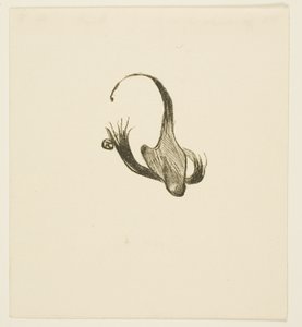 Tailpiece from Au Pied du Sinaï by Henri de Toulouse Lautrec