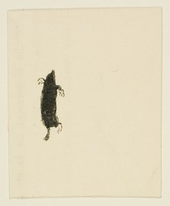 Tailpiece from Au Pied du Sinaï by Henri de Toulouse Lautrec