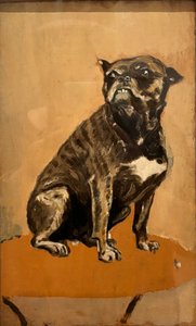 Touc, Seated on a Table by Henri de Toulouse Lautrec