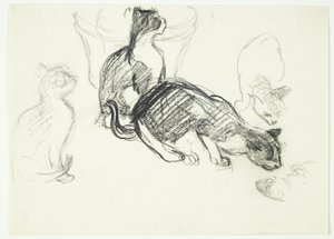 Study Sheet with Cats by Henrik Schouboe