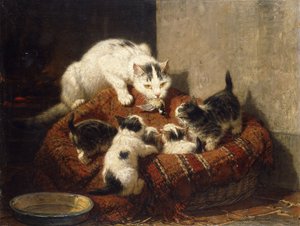 A Feathered Gift