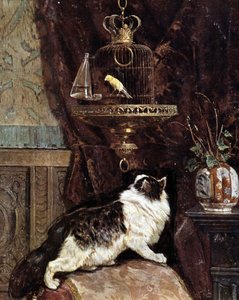 Cat Spying on a Bird in a Cage