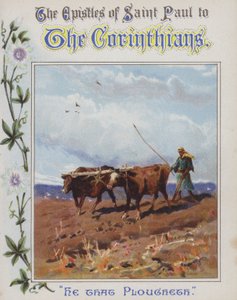 He that ploughs