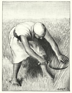 Reaping in the East