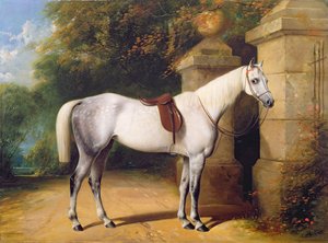 A Grey Horse by Park Gates, 1851
