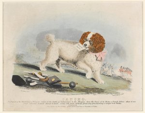 Sancho, Battle of Salamanca, 1812