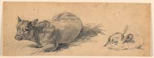 Study of a Young Bull Lying in a Meadow