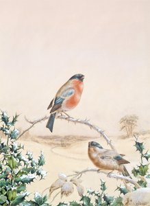 Winter scene with Chaffinch and Holly by Henry Bright