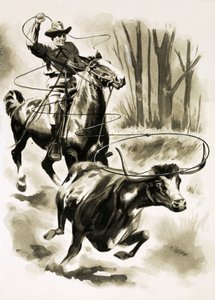 A cowboy ropes a steer from horseback with a lasso