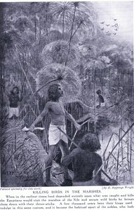 Killing Birds in the Marshes, c.1920