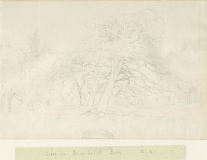 Beaudesert Park