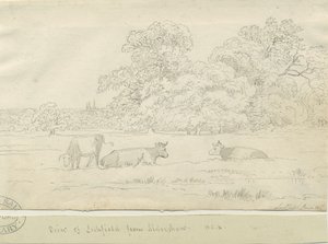 Lichfield - View from Aldershaw by Henry Curzon Allport