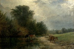 Sunshine and Showers