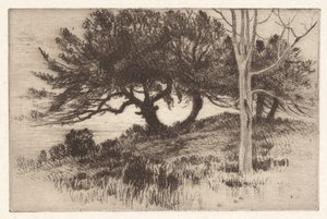 Near the Sea by Henry Farrer