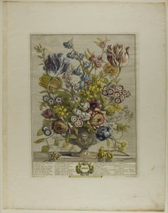 April, from Twelve Months of Flowers by Henry Fletcher