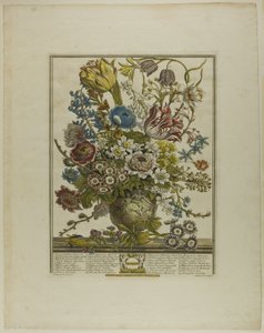March, from Twelve Months of Flowers