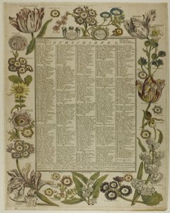 Title Page, from Twelve Months of Flowers by Henry Fletcher
