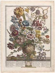 Twelve Months of Flowers: March