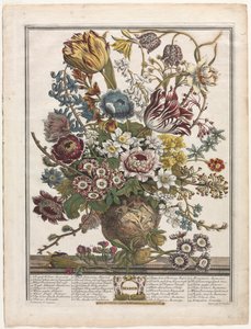 Twelve Months of Flowers: March