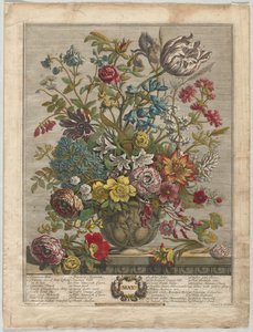 Twelve Months of Flowers: May by Henry Fletcher