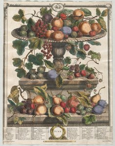 Twelve Months of Fruit: June