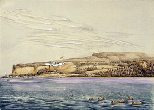 Landscape