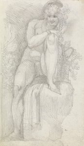 A Hermaphrodite