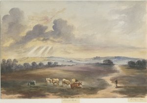 Cannock Chase - Heath by Henry James Noyes