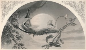 Ariel The Tempest by Henry James Townsend