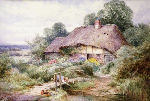 Catching Tiddlers at Eastbury, Berkshire