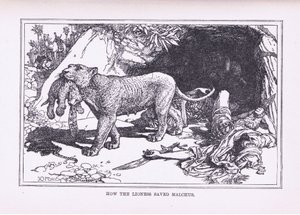 How the Lioness Saved Malcus