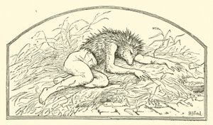 Jack My Hedgehog by Henry Justice Ford