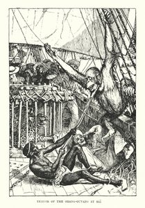 Terror of the orang-outang at Sai by Henry Justice Ford