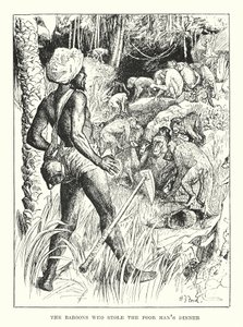 The Baboons Who Stole the Poor Man