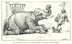 The elephant falls on his knees before the little Scotch terrier by Henry Justice Ford