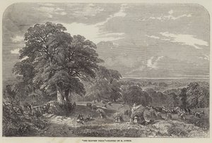 The Harvest Field by Henry Jutsum
