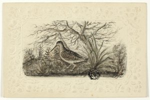 Grouse by Henry Lejeune