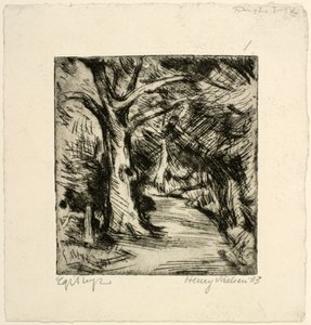 Forest Road. Riis Forest by Henry Nielsen