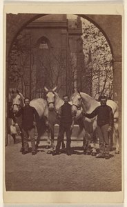 Three Men Posing with Three White Horses by Henry Pointer